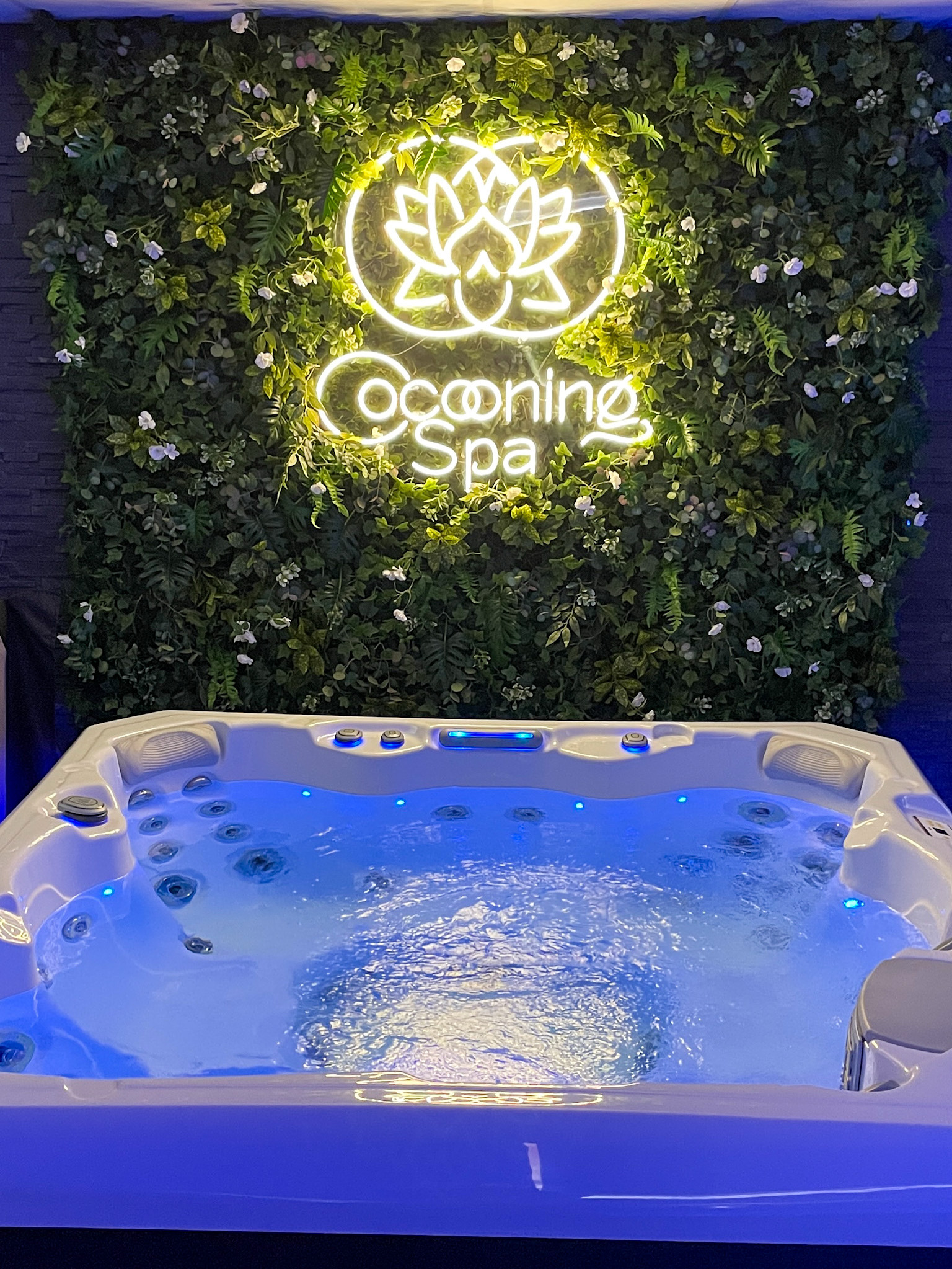 Jacuzzi Thérapeutique